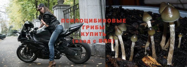 кокаин колумбия Магас