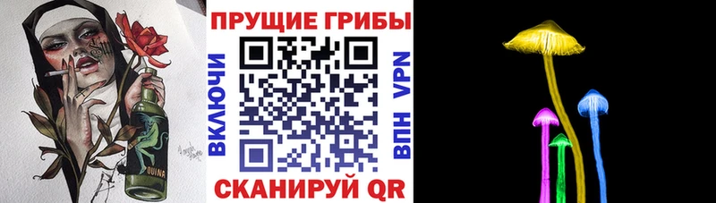 Псилоцибиновые грибы ЛСД  мега ссылки  Жуковский 